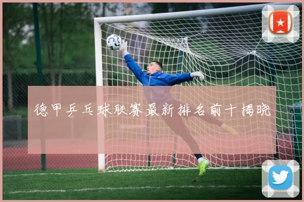 德甲乒乓球联赛最新排名前十揭晓
