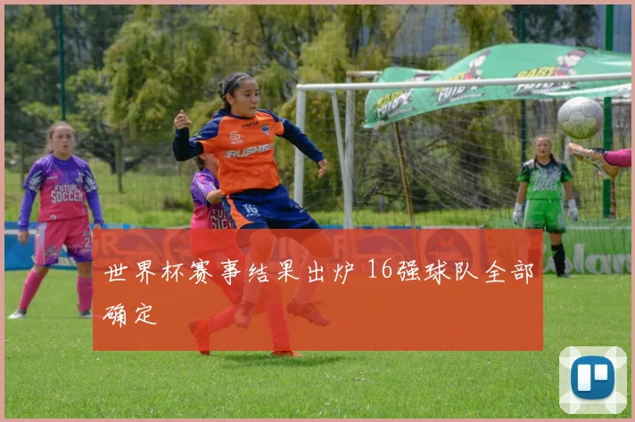 世界杯赛事结果出炉 16强球队全部确定