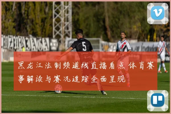 黑龙江法制频道线直播看点 体育赛事解读与赛况追踪全面呈现