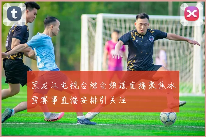黑龙江电视台综合频道直播聚焦冰雪赛事直播安排引关注